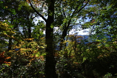 IMGP6807