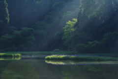 初夏の風景