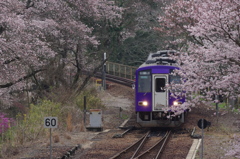 さくらの駅　笠置 Ⅱ