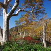 魅惑の登山道