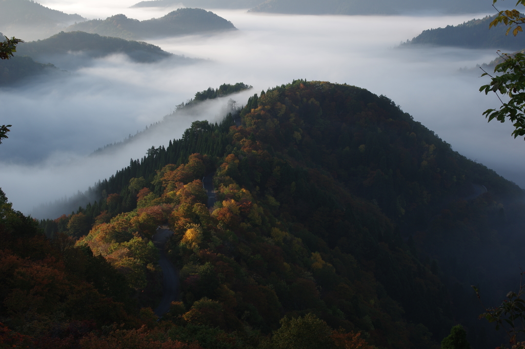 小入峠の雲海