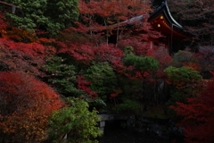 毘沙門堂の紅