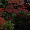 毘沙門堂の紅