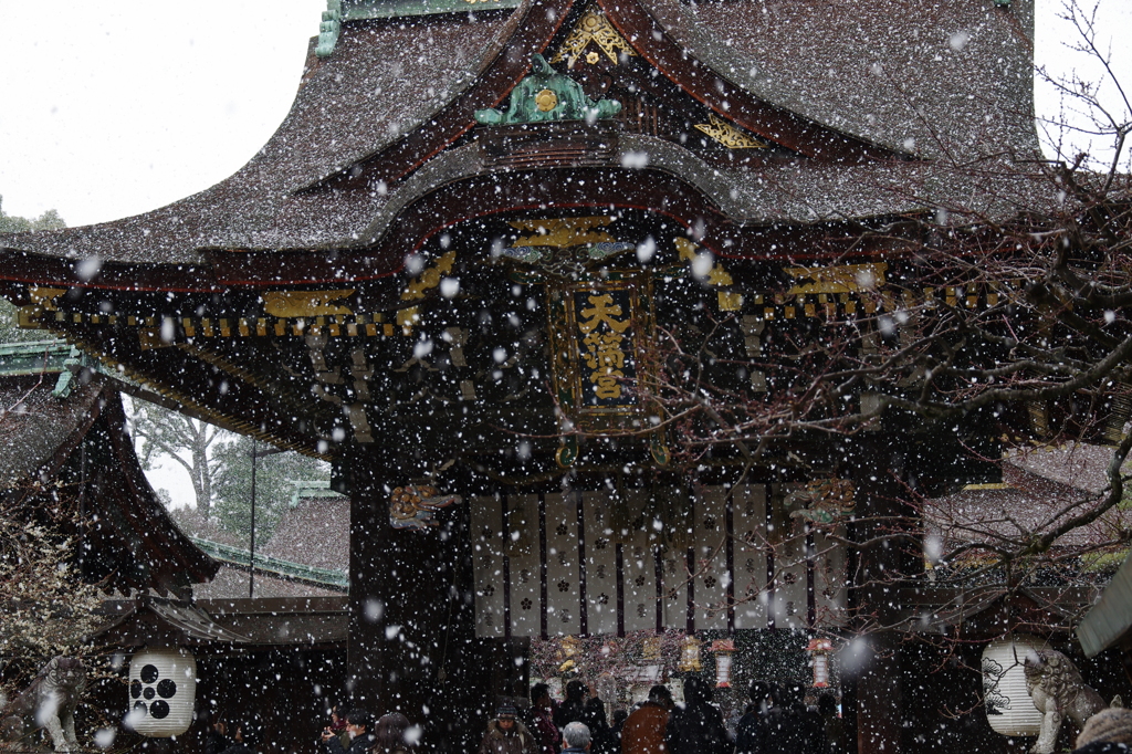 梅待つ天満宮