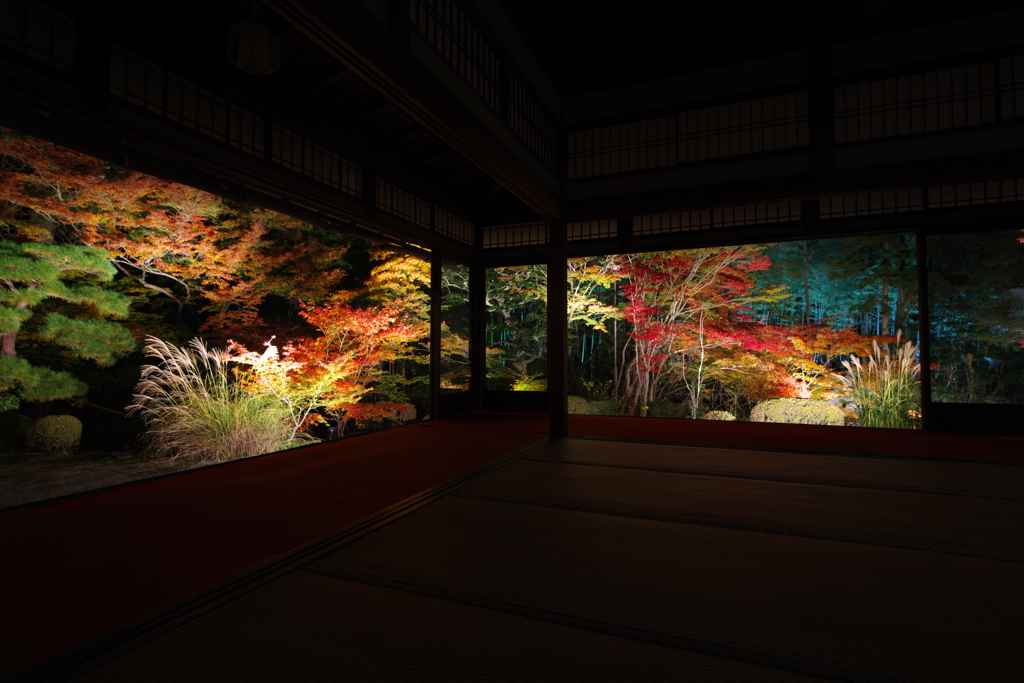 秋の夜