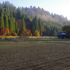 朝霧が晴れて