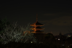 八坂の夜