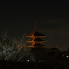 八坂の夜