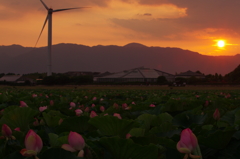 夏の日の夕暮れ