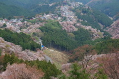 吉野山俯瞰