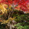 山寺の鐘楼、錦秋を纏う