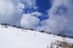 雪原と空