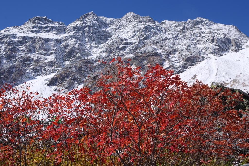 雪と紅葉