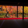 紅の艶