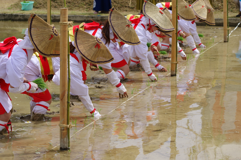 豊穣を祈って