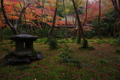 祇王寺と雨