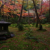 祇王寺と雨