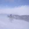 吹雪から晴れへ Ⅱ