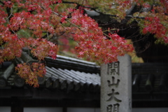 雨と紅葉　Ⅳ