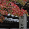 雨と紅葉　Ⅳ