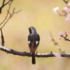 春はもうすぐ