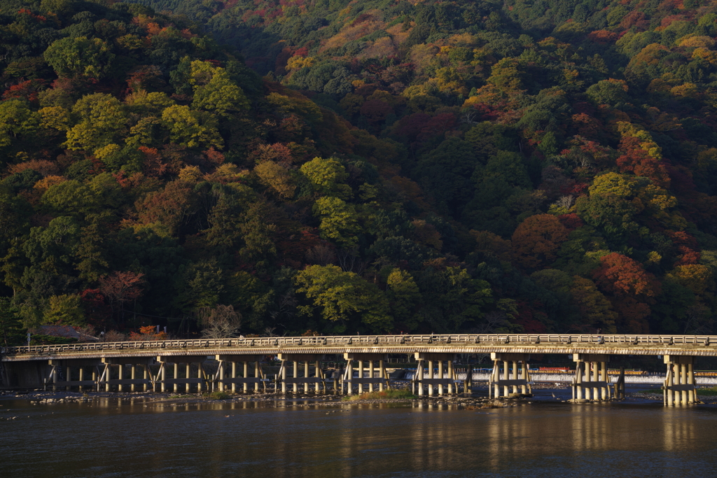 嵐山、紅葉深まる
