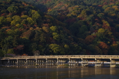 嵐山、紅葉深まる
