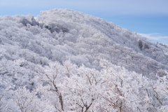 青と白の劇場へ　2019　Ⅲ