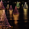 琵琶湖のクリスマスツリー