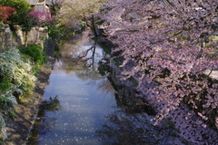 花化粧