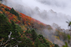 大雲海の日の石鎚山