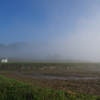 朝霧が晴れて②