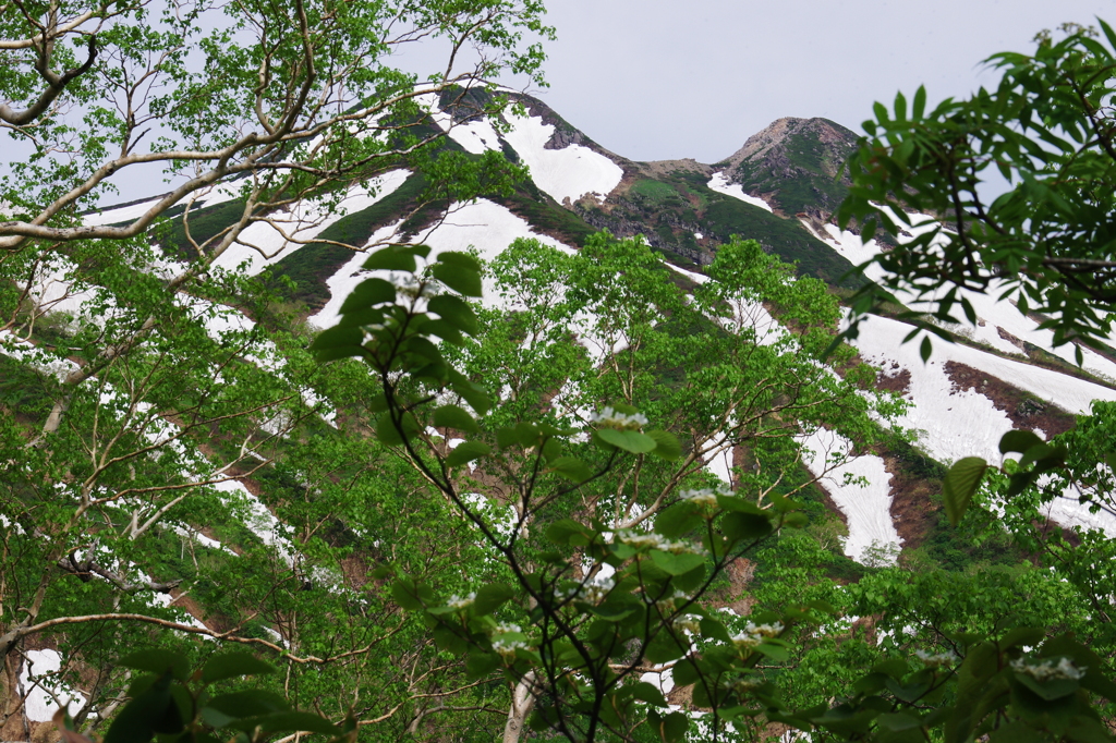 白山とご対面～