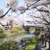 春の風景　Ⅲ