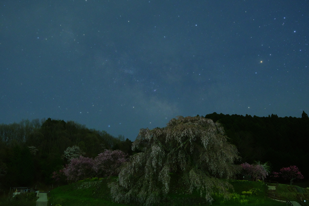 宇陀の春夜