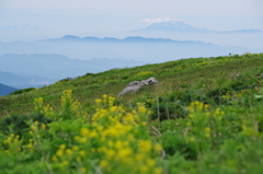 遥か、御嶽山と乗鞍岳