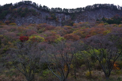 紅葉の屏風岩