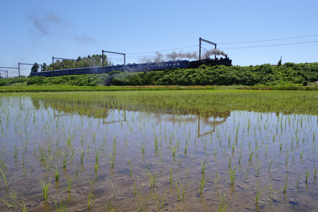 初夏の湖北をゆく
