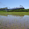 初夏の湖北をゆく