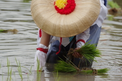 豊穣の願い