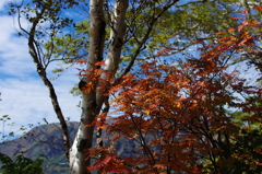 秋の空気