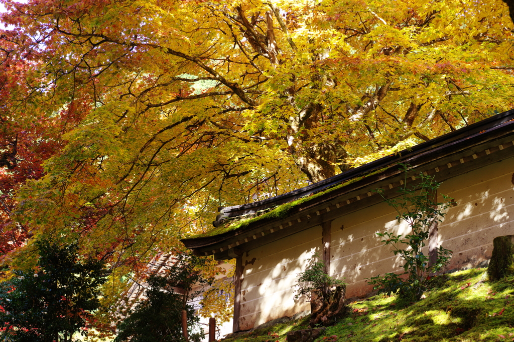 どうなったのか？