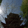 逆光の塔