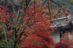 雨の日も
