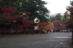 神護寺、秋時雨の朝