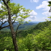 山の空気