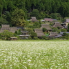 秋の山里　Ⅱ
