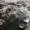 花見船