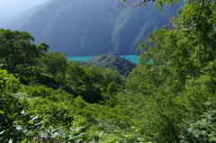 深き森と青い白水湖　/  　7月の白山