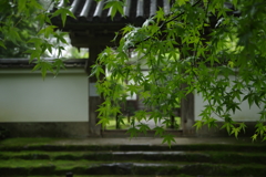 潤い
